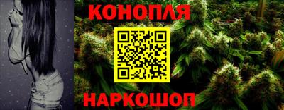 jwh Новозыбков